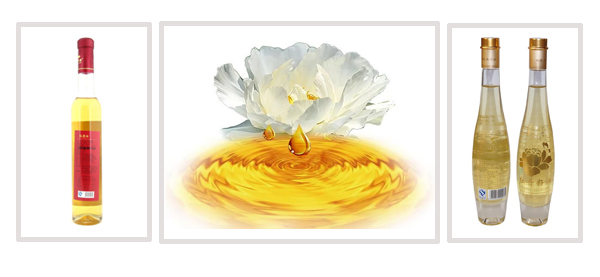 ʳ���͹��b����